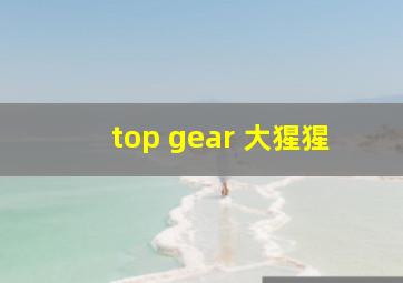 top gear 大猩猩